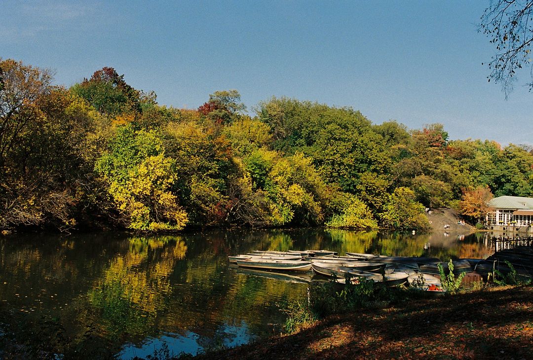 yellow painted waters