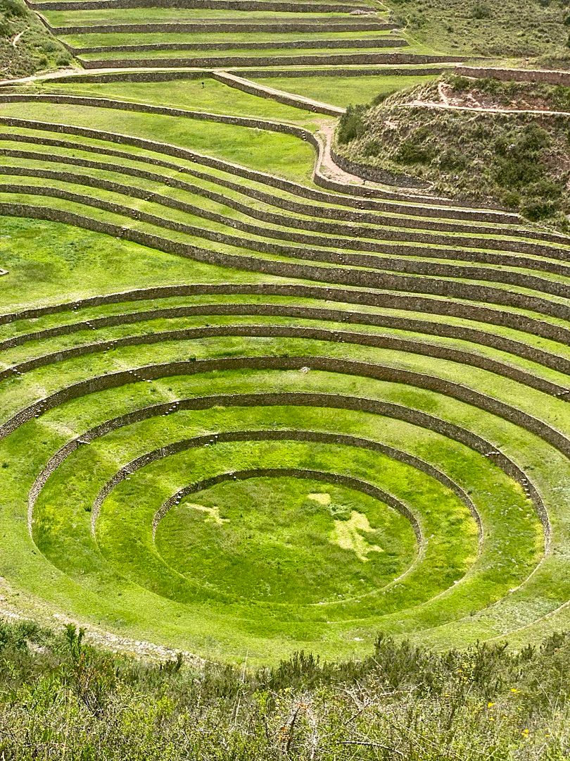 The Moray Terraces