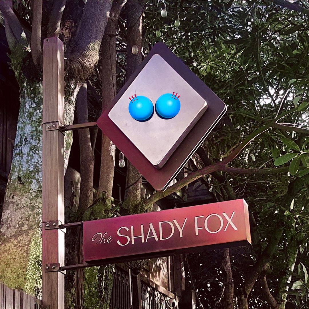 Shady Fox