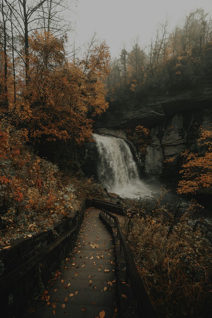 A quick stop at Looking Glass Falls