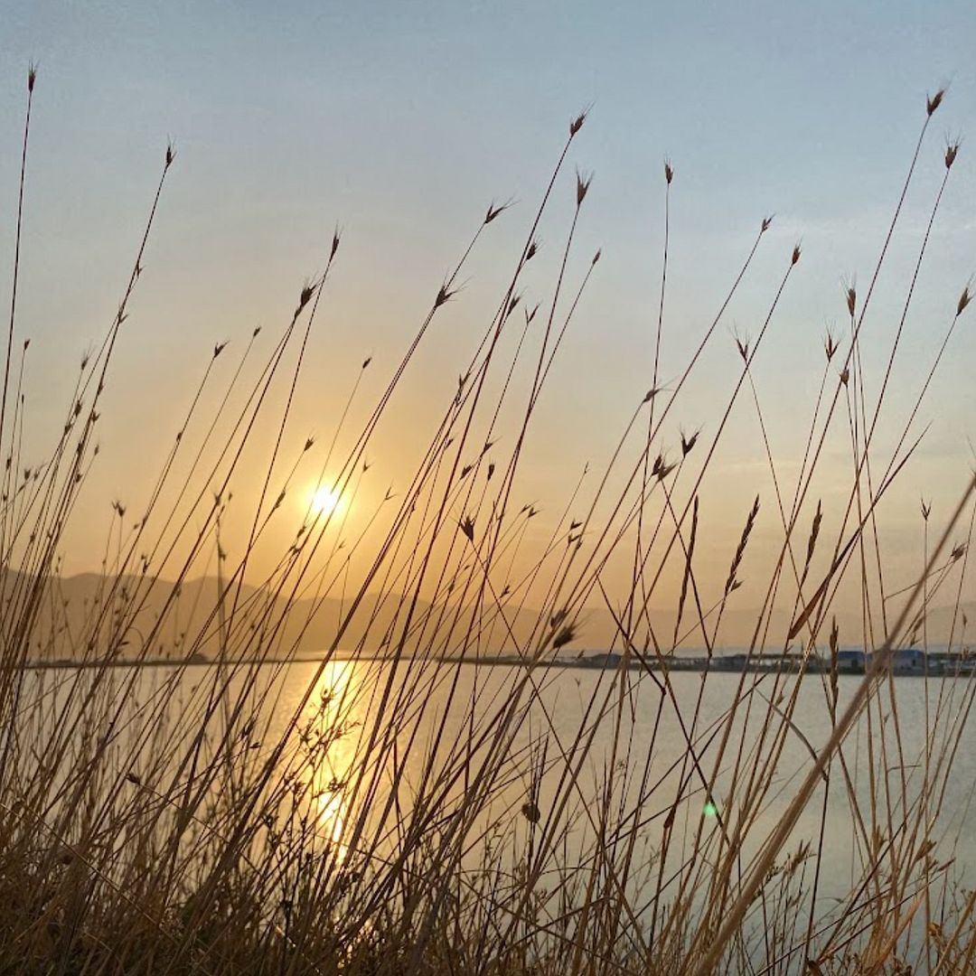 Lake Solenoye, Novorossiysk