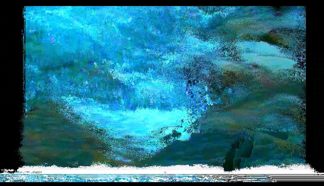 ocean coin