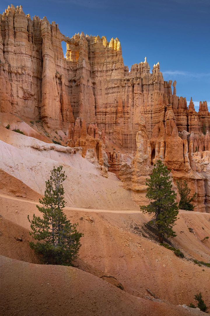 Stunning View of Bryce Canyon's Hoodoos at Sunset