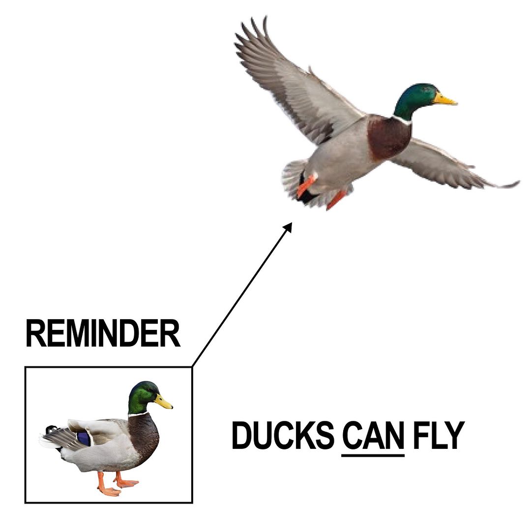 low key forgot ducks can fly