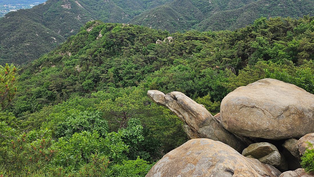 Gwanaksan Mountain’s specialty,  Terrapin Rock! (Jarabawi Rock)  Seoul 240525