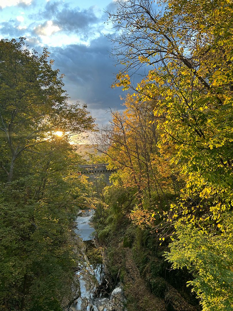 my walk home 🍁