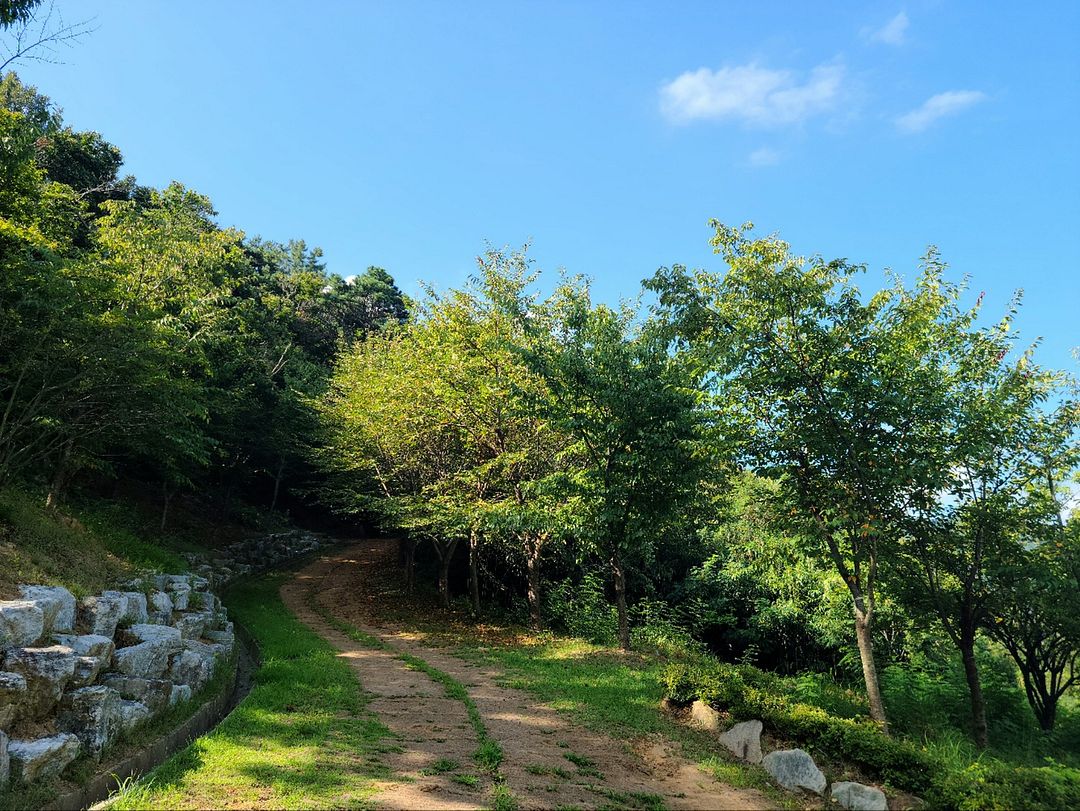 남부공원산책길