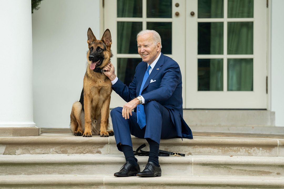 Biden's Attack Dog