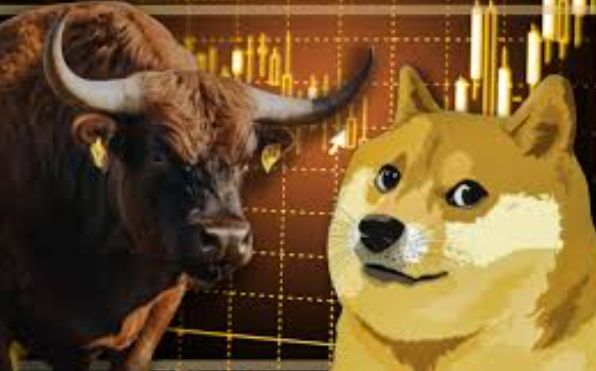 doge bullrun