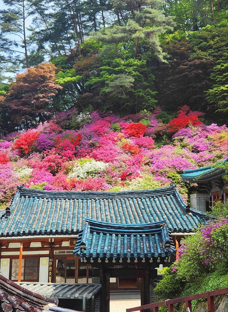 Scenic view of Korea