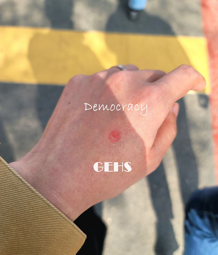 GEHS_Democracy