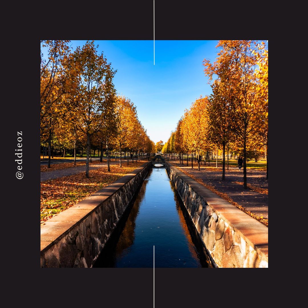 Autumn Canal in Kadriorg Park