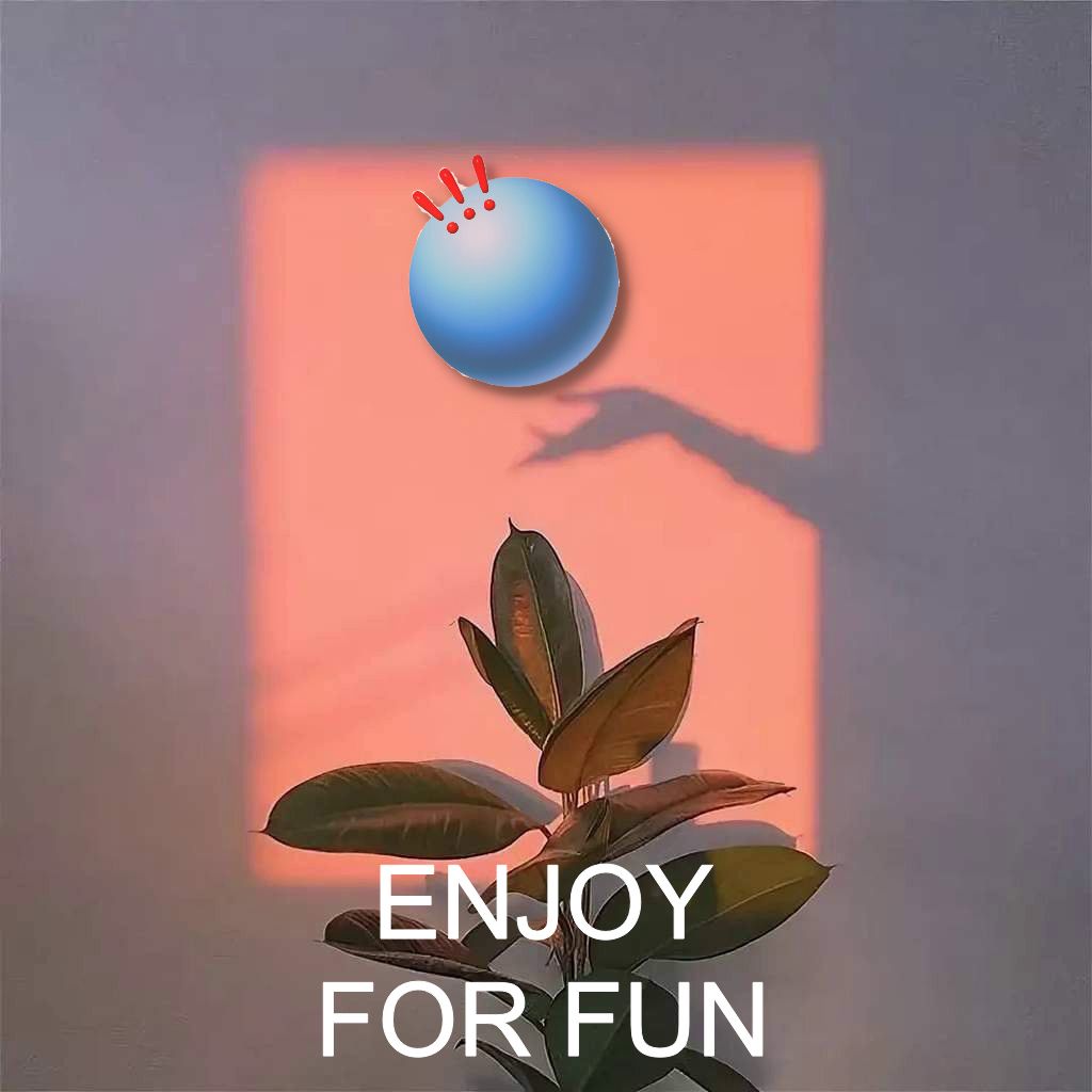 ENJOY FOR FUN