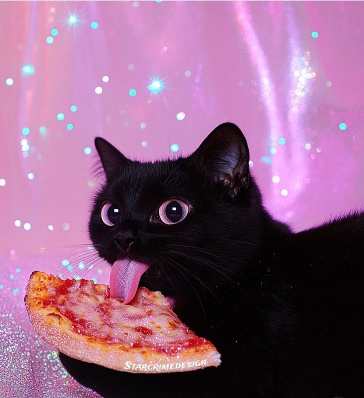 Pizza fan