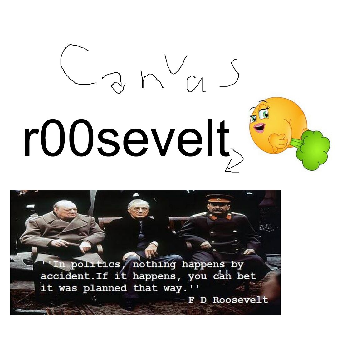 CanVaS r00sevelt