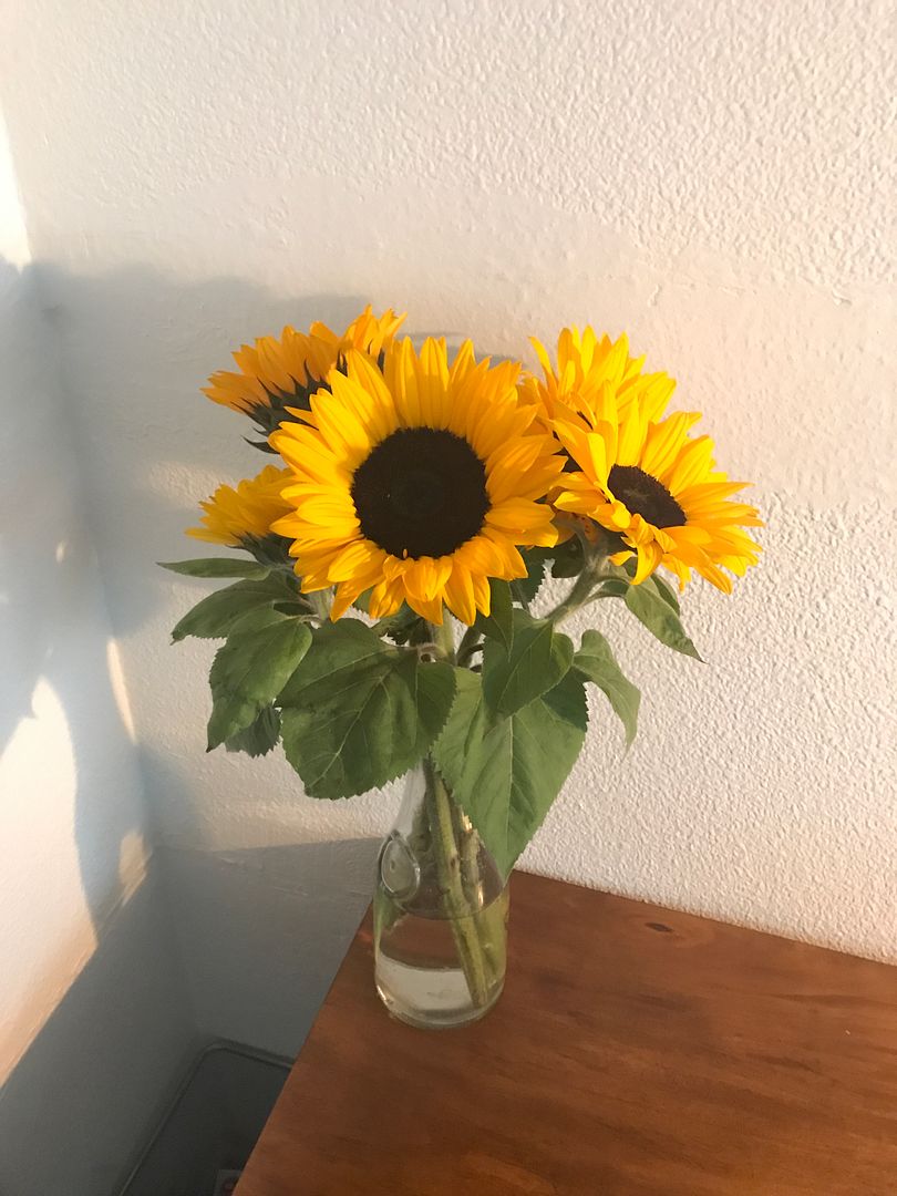 sunflowers.jpg