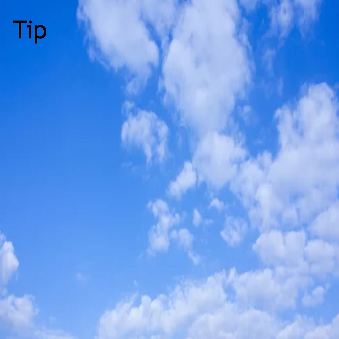 tip