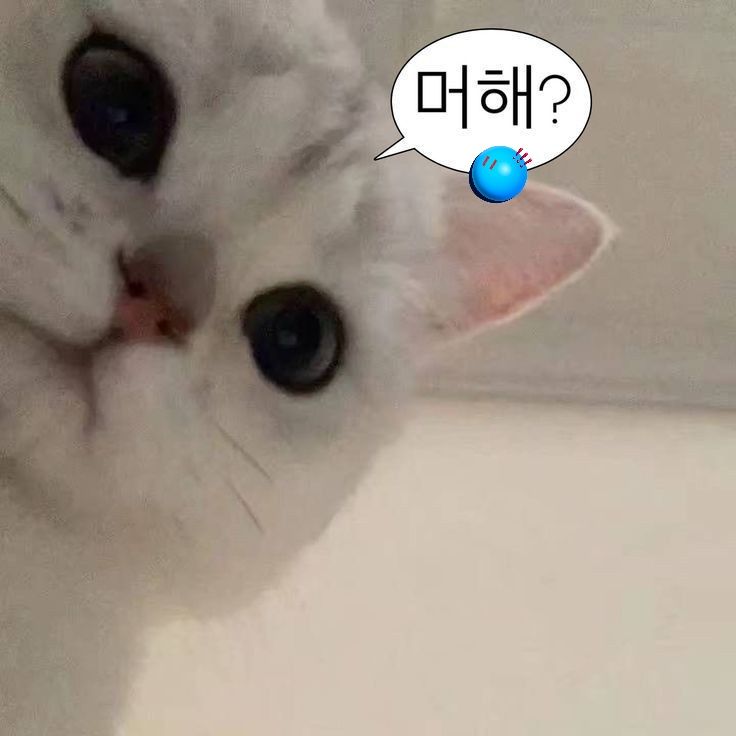 머해