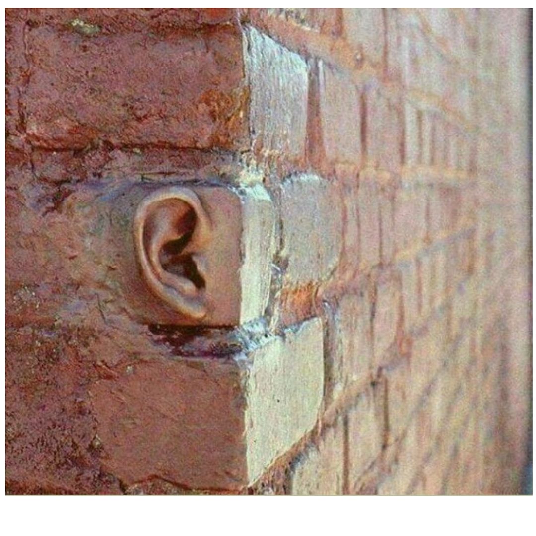 Bricks with Ear