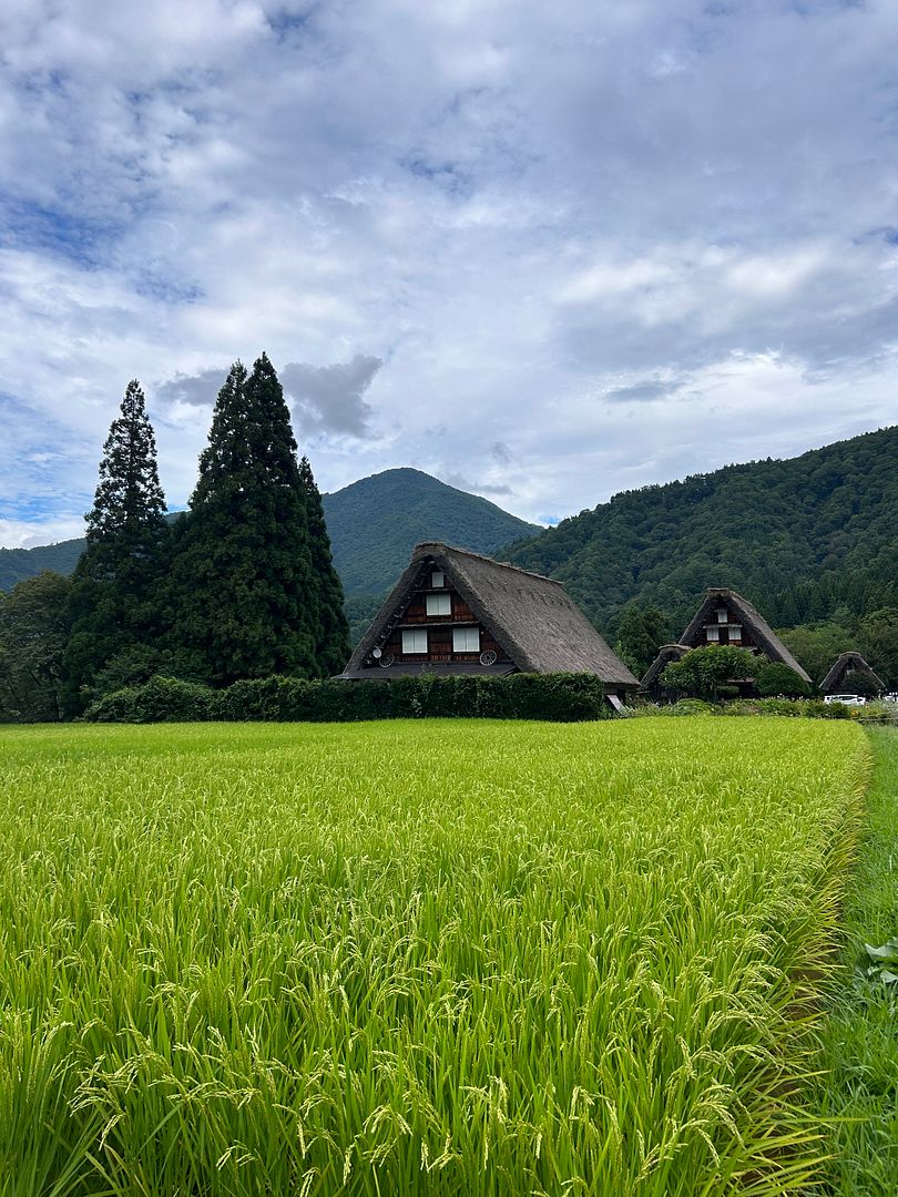 Shirakawago