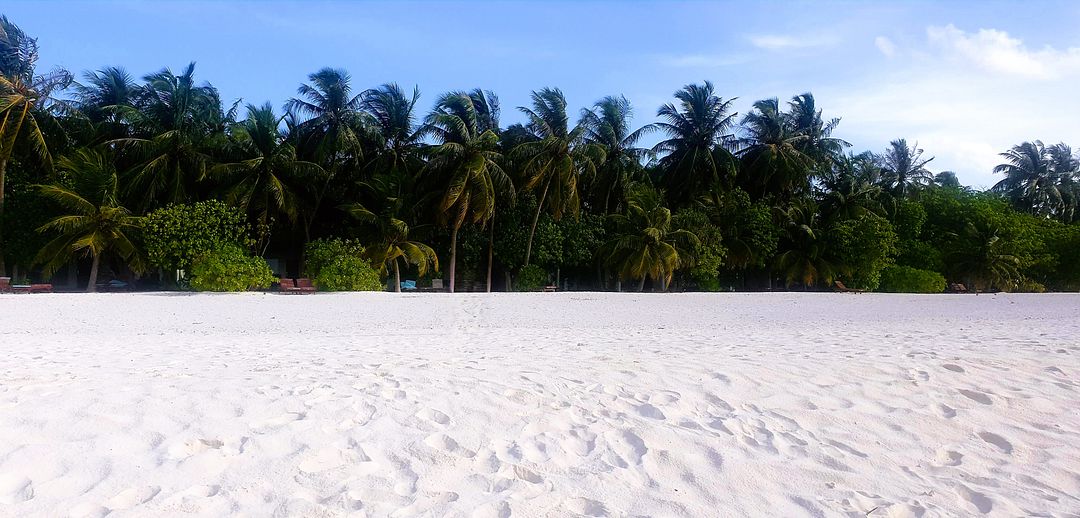 sandy beach