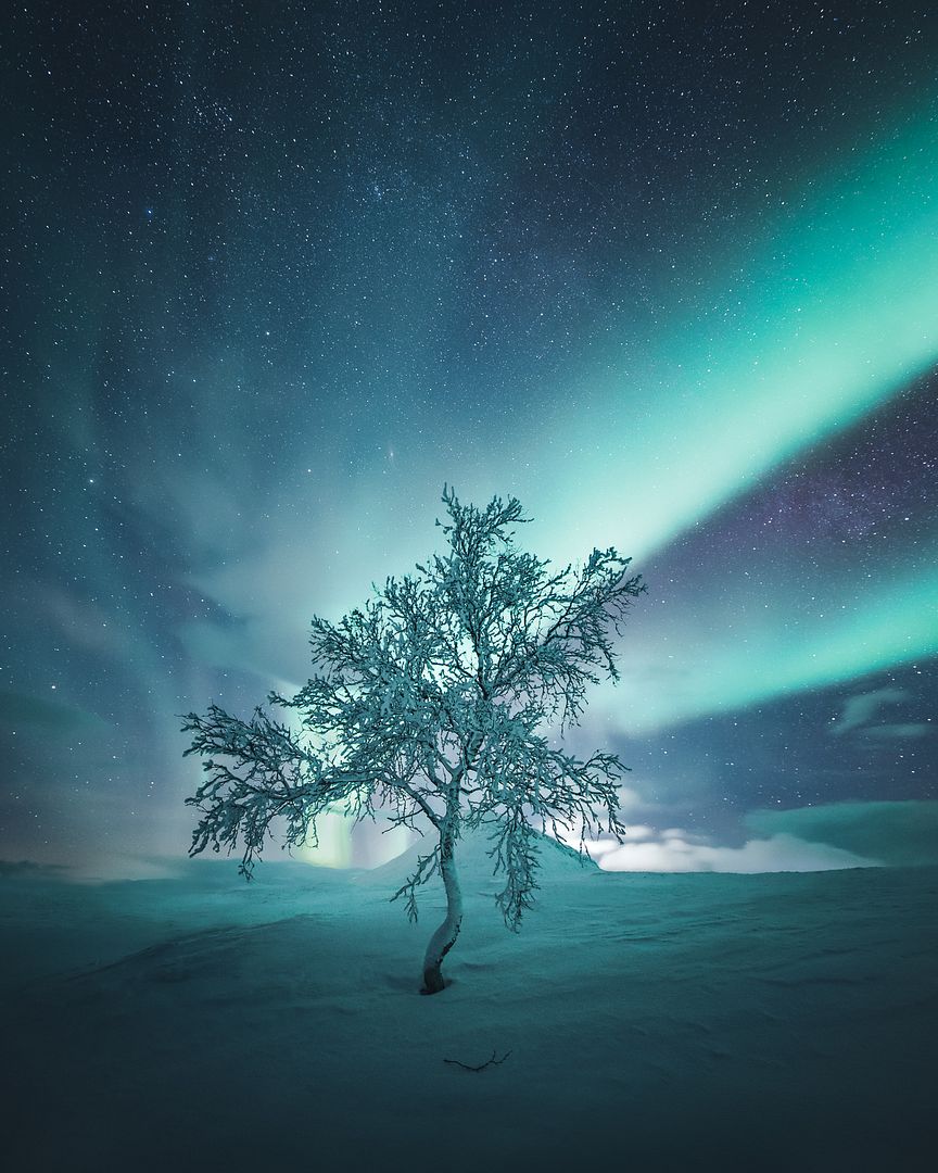 Under the northern lights