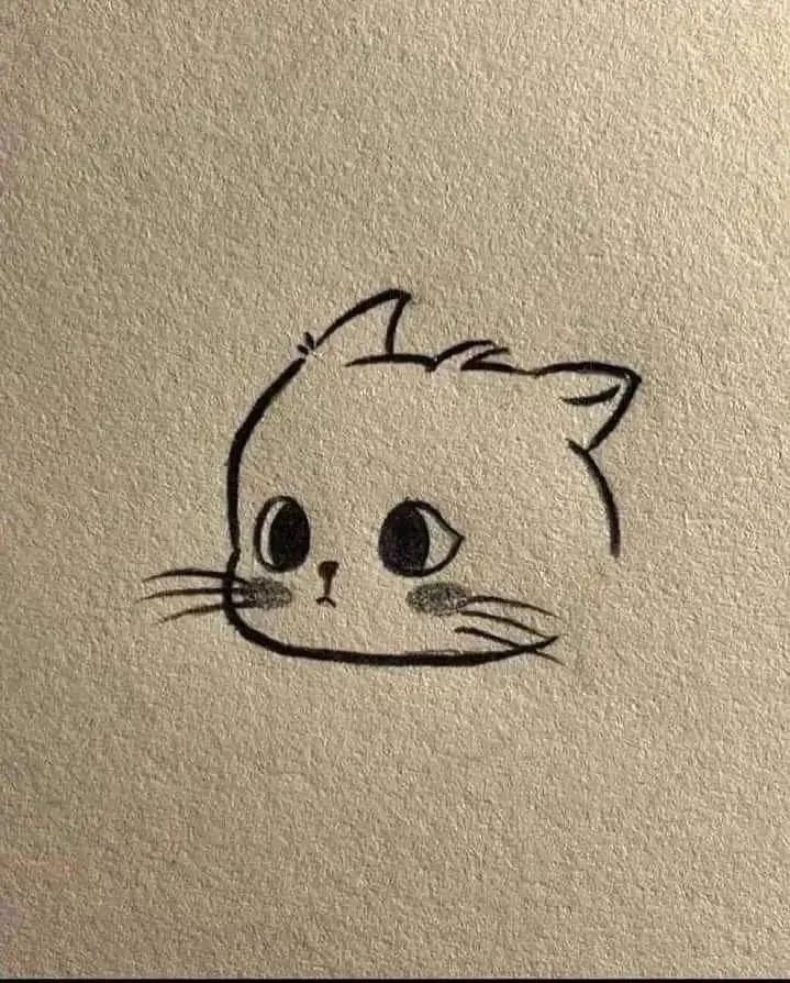 Cat drawing 🐈😺 2