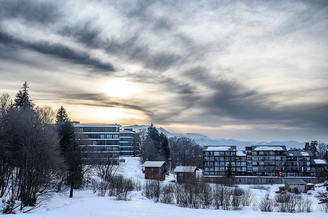 Winter landscape