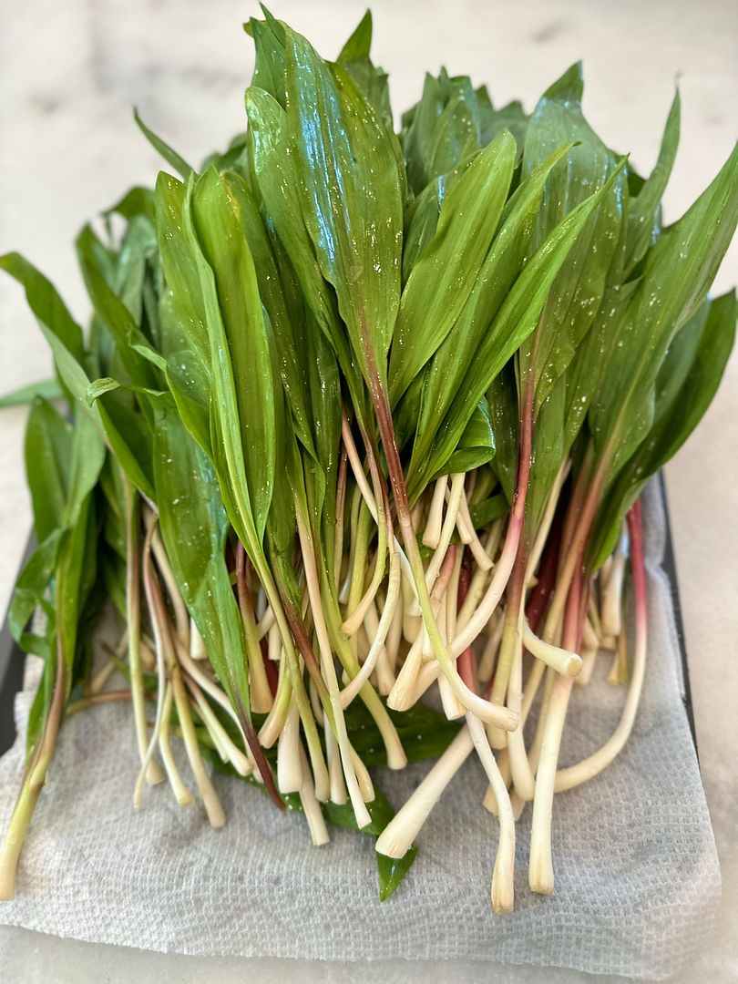 Wild Ramps