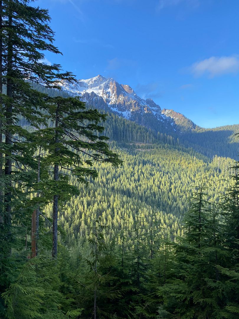 Mt Ellinor - Olympic National Forest