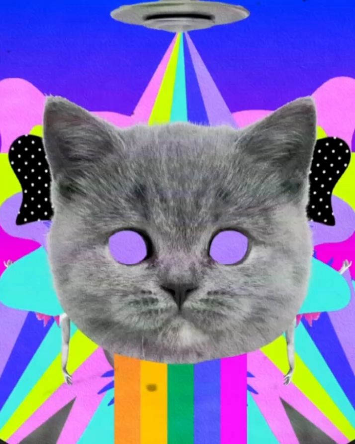 rainbowCat