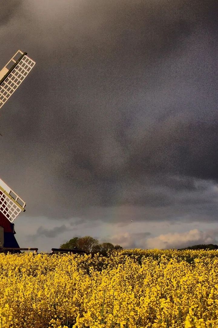 Windmill in Denmark🇩🇰