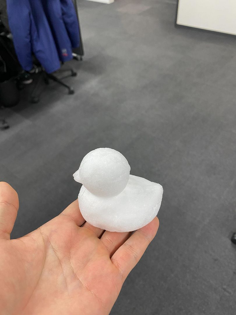 Ice Duck