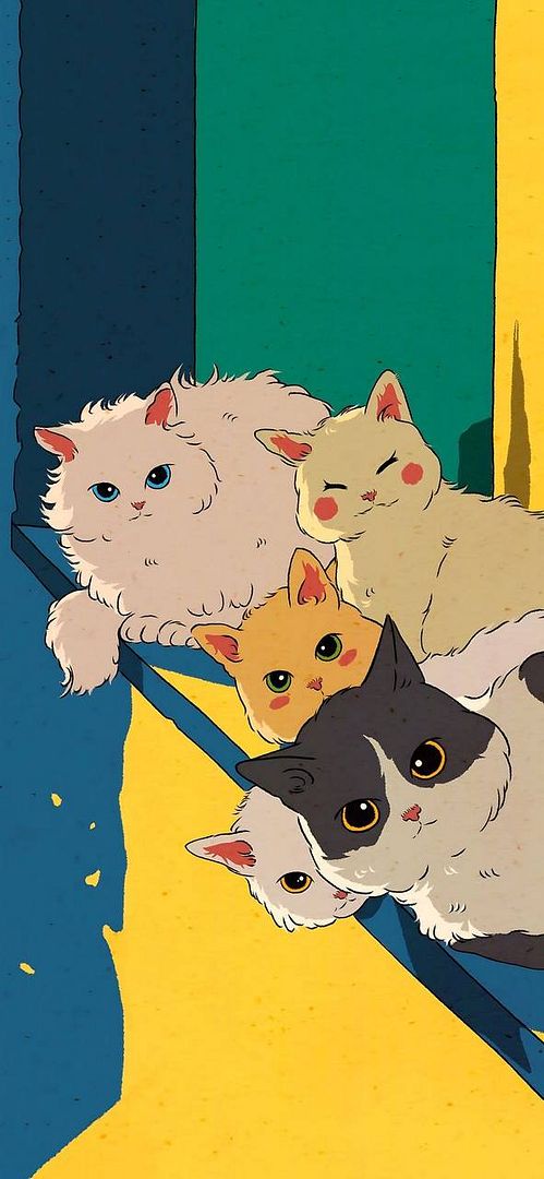 drawn cats