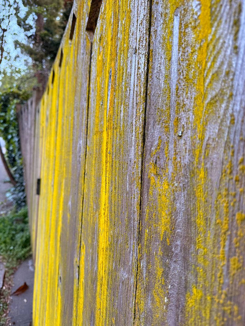 yellow fence