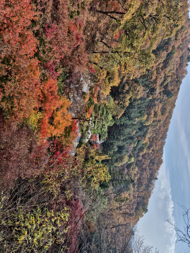 Hwadam Forest autumn scenery