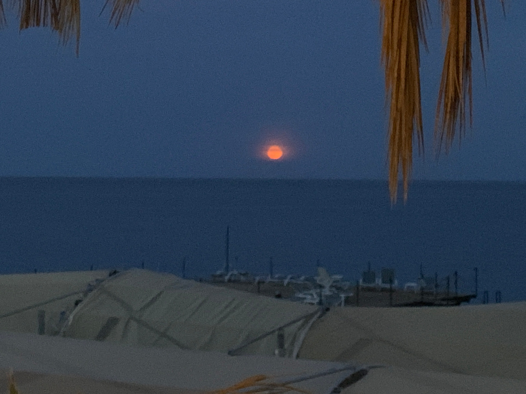 Red moon