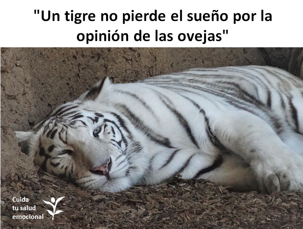 Tigre