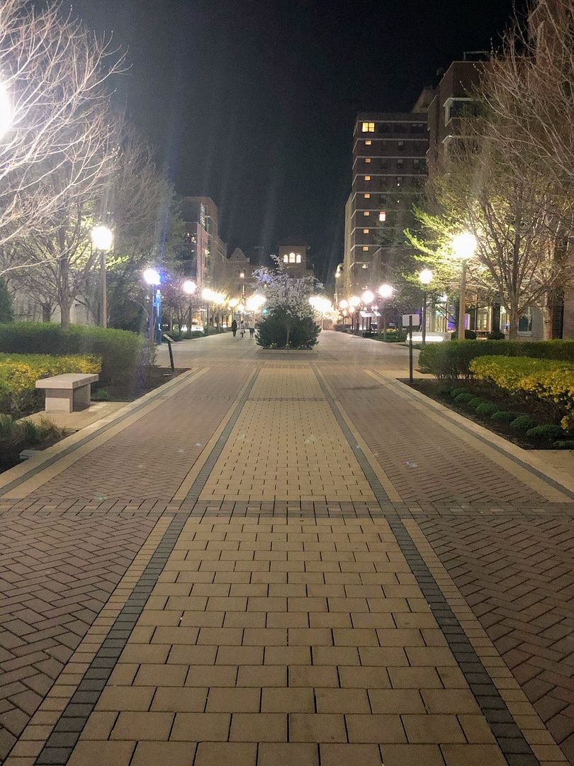 Pathway at Night