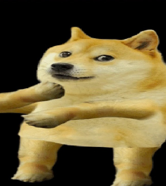 YES DOGE