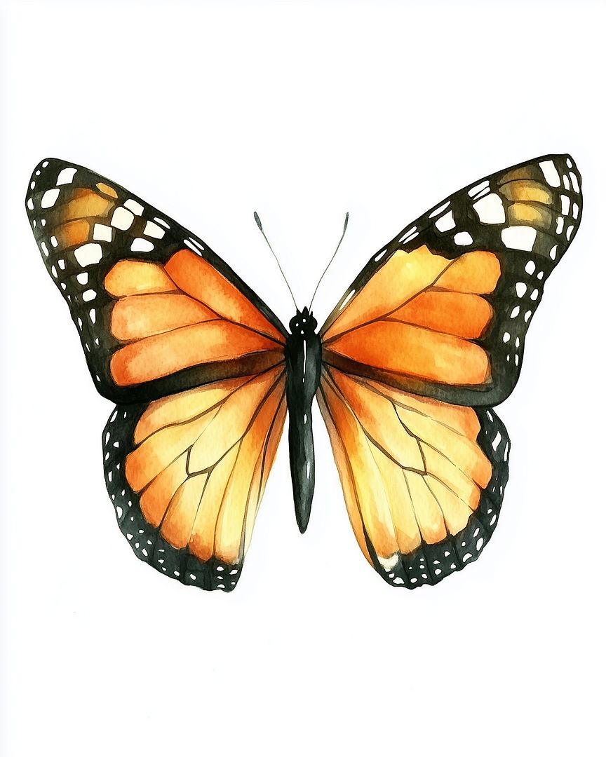 lilywillowbrook69_watercolour_clipart_of_a_Monarch_Butterfly_Da_05dfe5d4-d26f-4d8a-991c-be604306e8d2