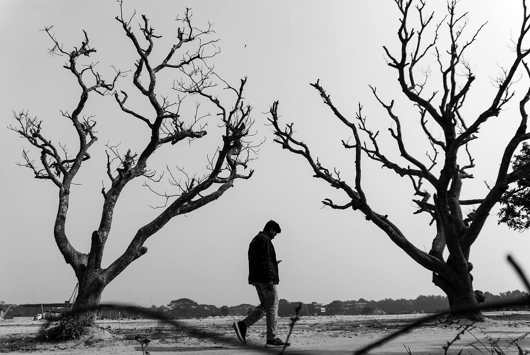 Walking the line between what once lived and what still lingers.