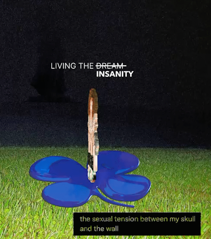 living_the_insanity