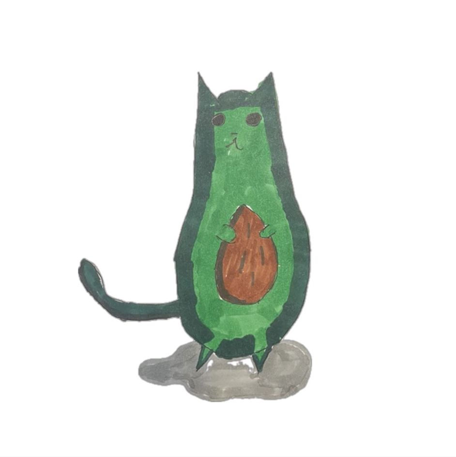 cat Avocado