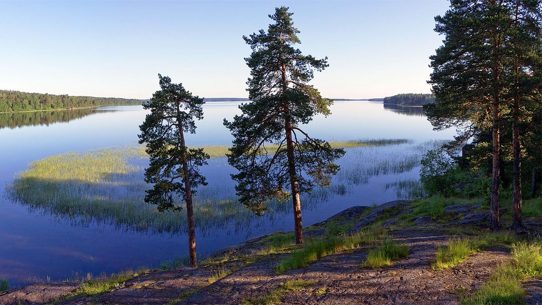 Lake Surgubskoye. Karelia