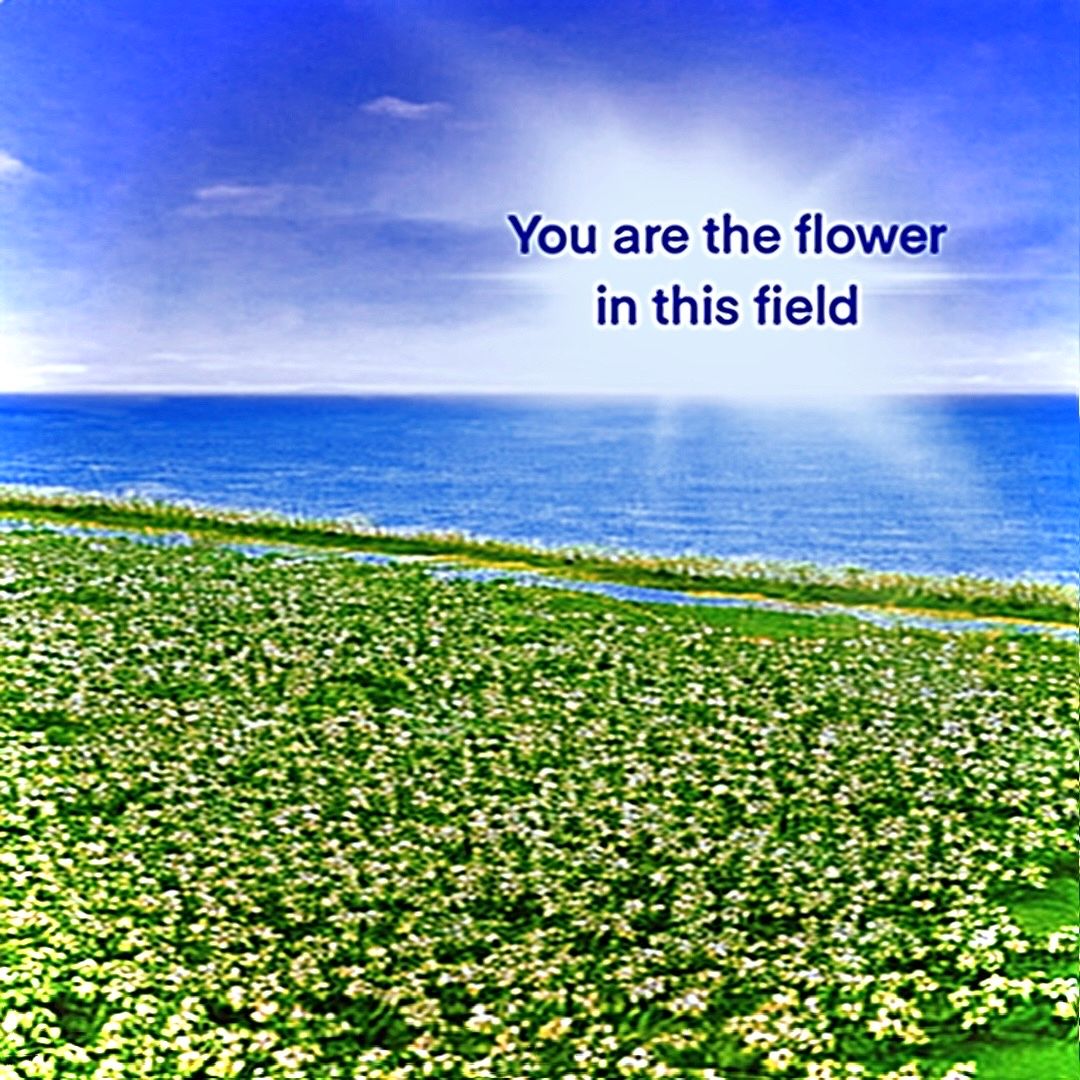 You are the flower in this field