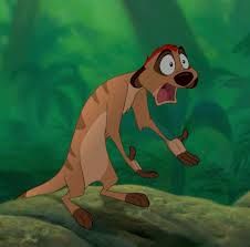 Timon