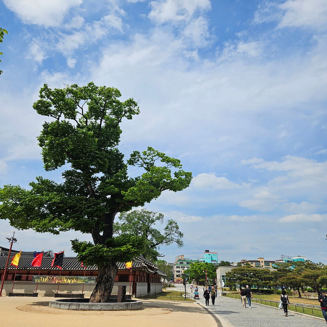 Summer suwon,korea