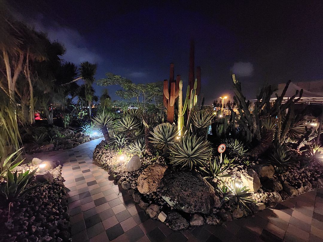 Singapore Changi airport Cactus Garden