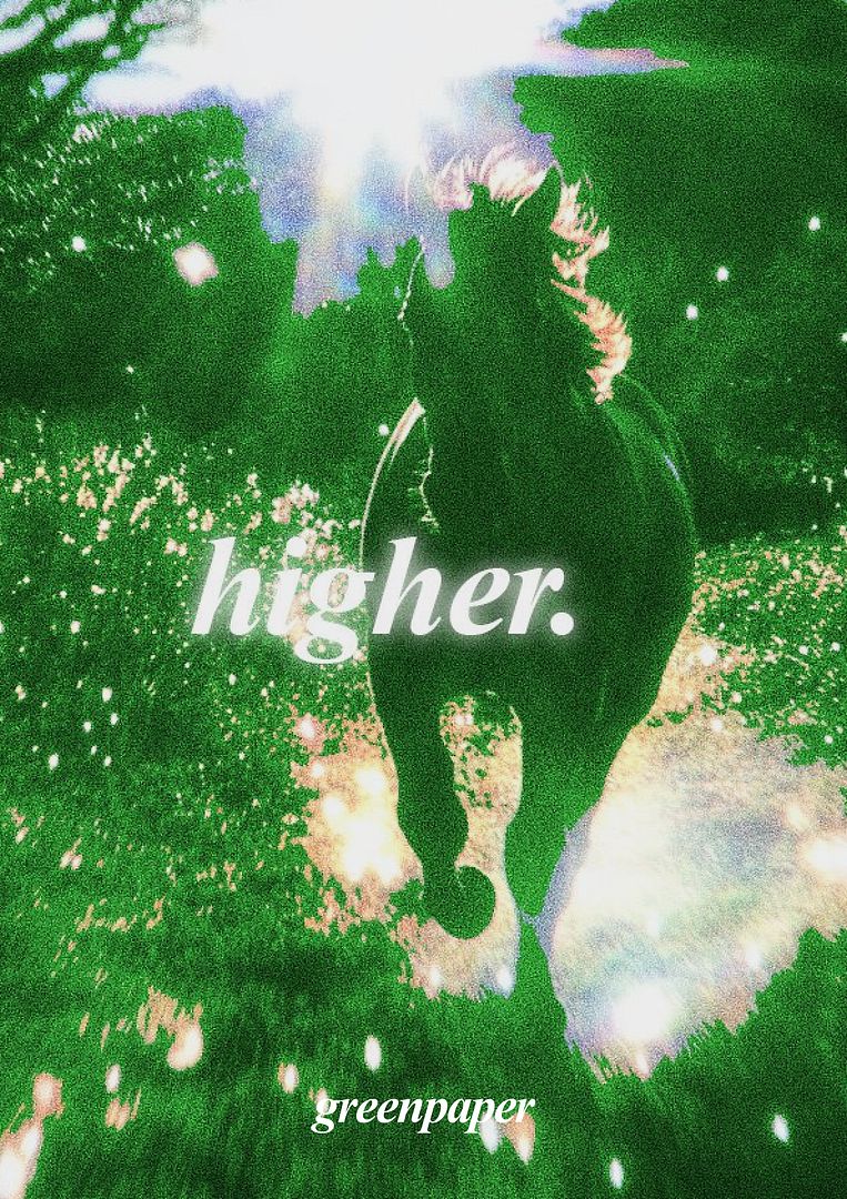 higher_greenpaper